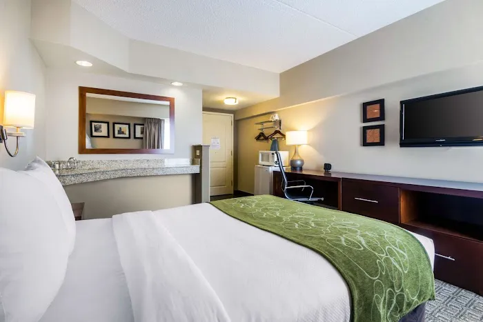 Comfort Suites at Woodbridge Picture 4
