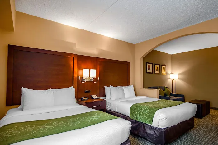 Comfort Suites at Woodbridge Picture 10