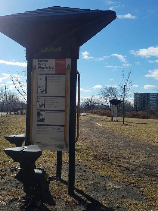 Lower Essex Street Park Picture 7