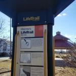 Lower Essex Street Park