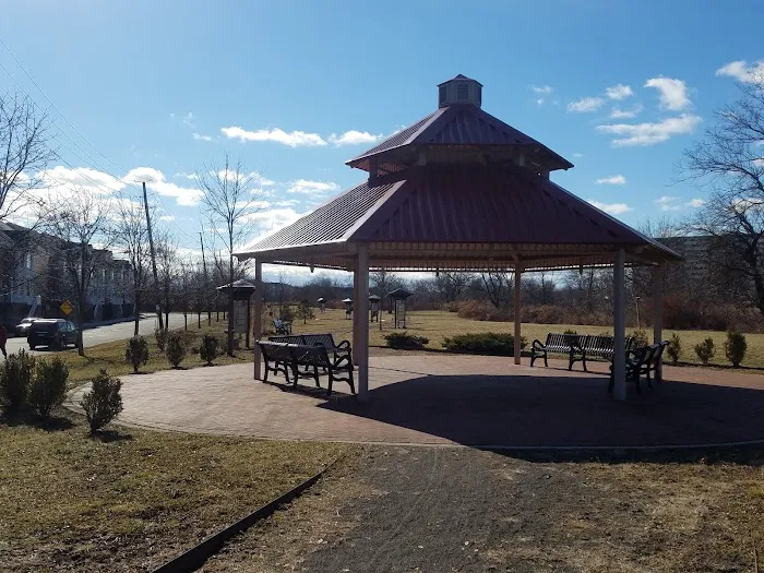 Lower Essex Street Park Picture 6