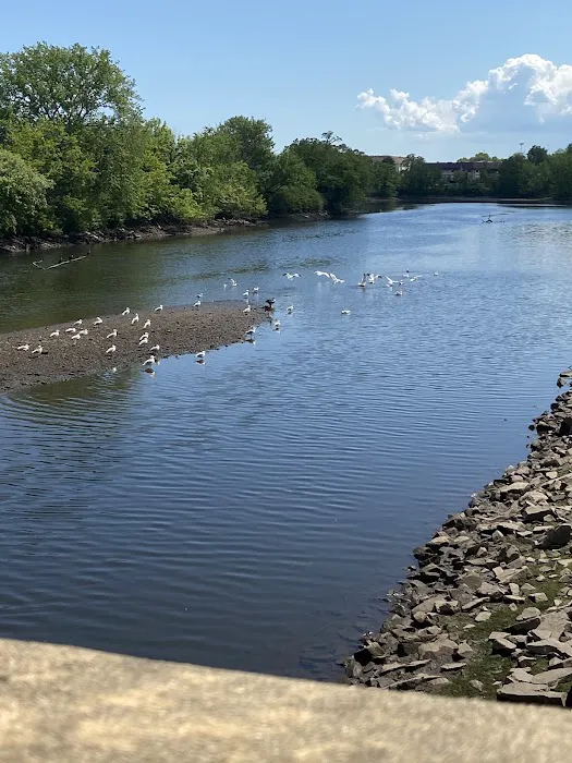 River Front Park Picture 7