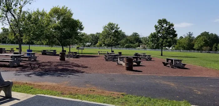 Playing Fields Picture 3