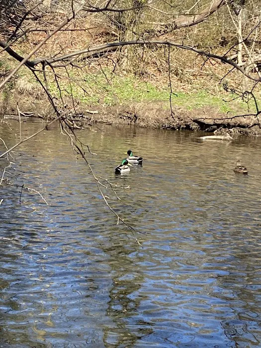 East Coast Greenway Picture 3