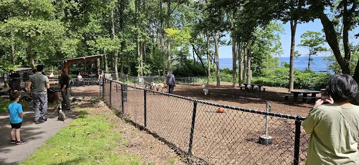 Wolfe Pond Dog Run Picture 1