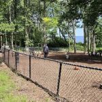 Wolfe Pond Dog Run