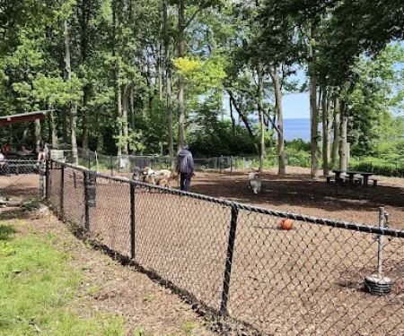 Wolfe Pond Dog Run