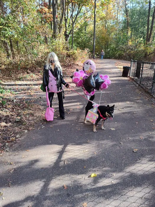 Wolfe Pond Dog Run Picture 4