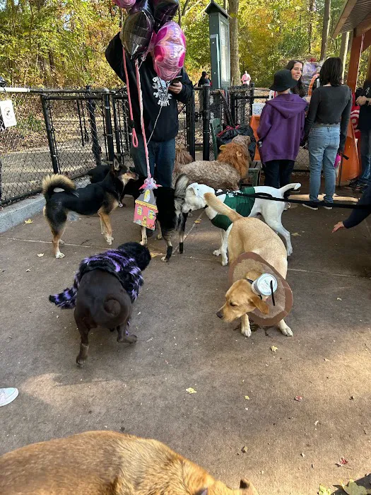 Wolfe Pond Dog Run Picture 2