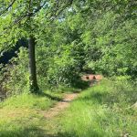 Wolfe's Pond Park