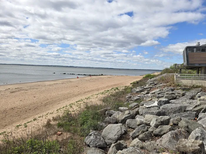 Wolfe's Park Beach Area Picture 1