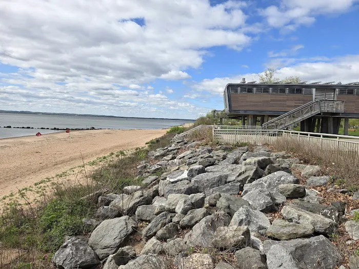Wolfe's Park Beach Area Picture 5