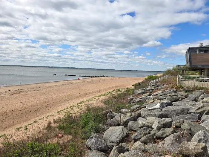 Wolfe's Park Beach Area Picture 9