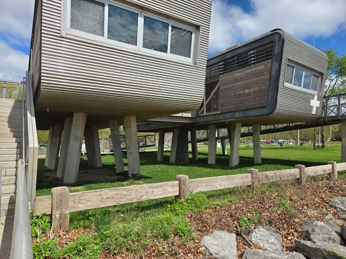 Wolfe's Park Beach Area Picture 3