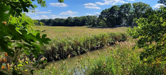 Lemon Creek Tidal Wetlands Area Picture 2