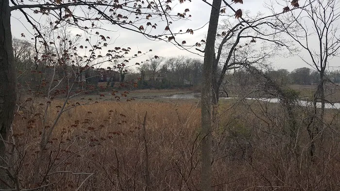 Lemon Creek Tidal Wetlands Area Picture 1