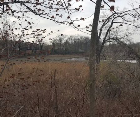 Lemon Creek Tidal Wetlands Area