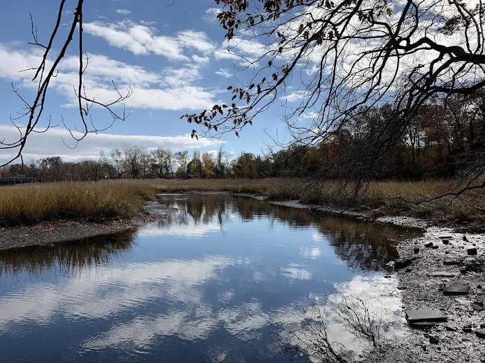 Lemon Creek Tidal Wetlands Area Picture 9