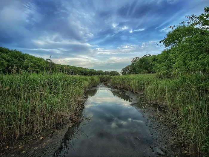 Lemon Creek Tidal Wetlands Area Picture 5