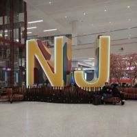 Newark EWR Airport Floor of House ico