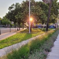 Sussex Park ico