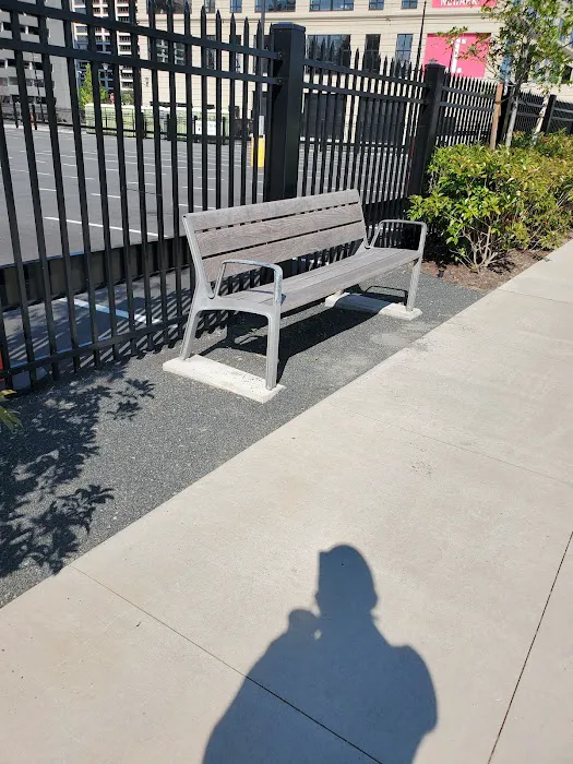 Mulberry Commons Picture 4