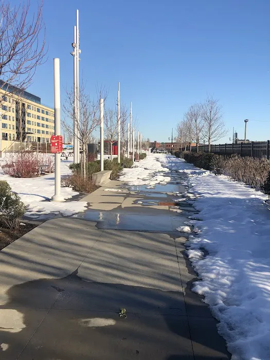 Mulberry Commons Picture 3