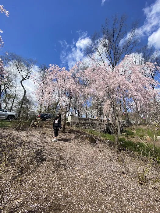 First Street Park Picture 7
