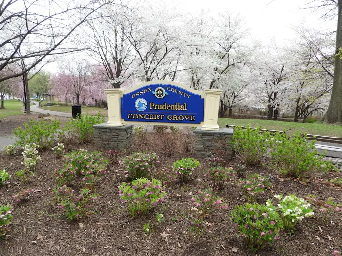 First Street Park Picture 9