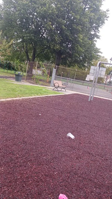 Oval Park Picture 5