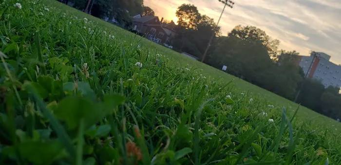 Oval Park Picture 10