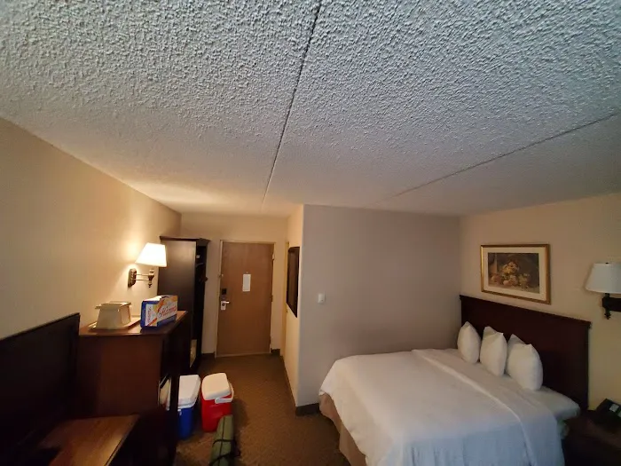 The Holland hotel Picture 8