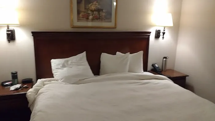 The Holland hotel Picture 9