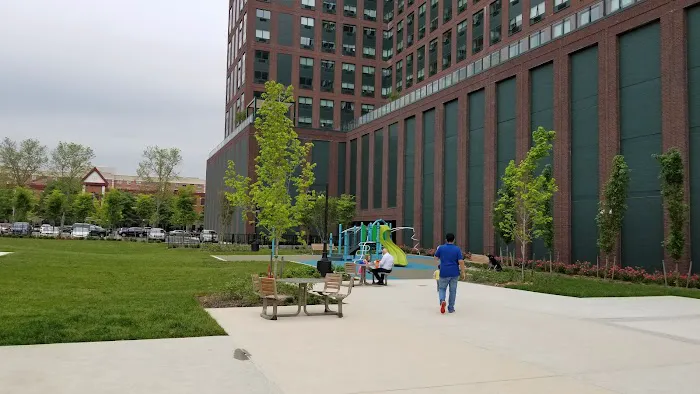 Marin Green Picture 4