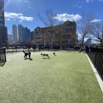Marin Green Dog Park