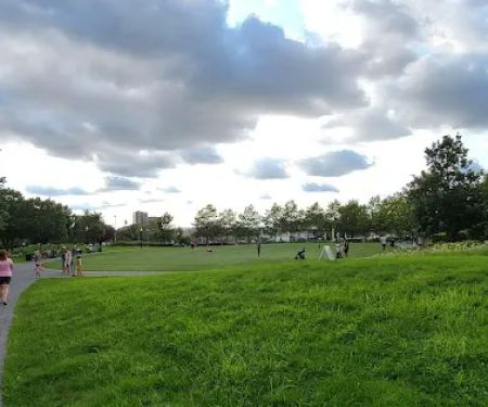 The Oval Garden