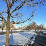 Grove of Remembrance