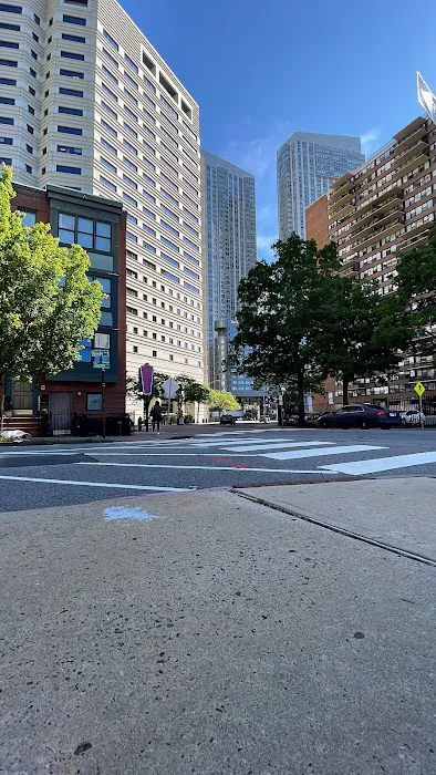 City Hall Park Picture 3