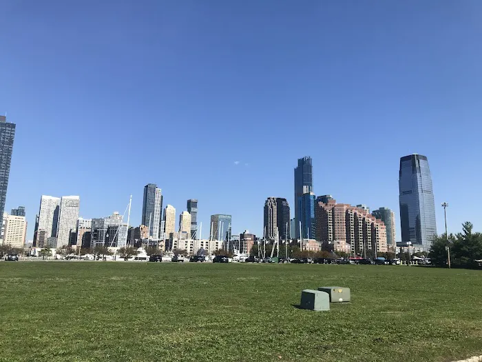 Great Lawn Picture 1