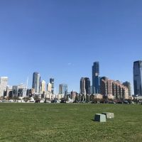 Great Lawn ico