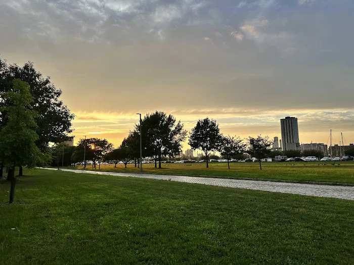 Great Lawn Picture 2
