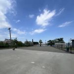 Dog Run