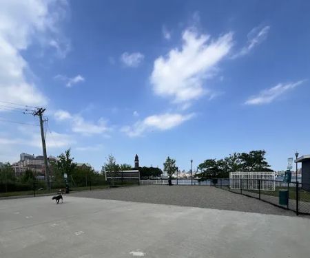 Dog Run