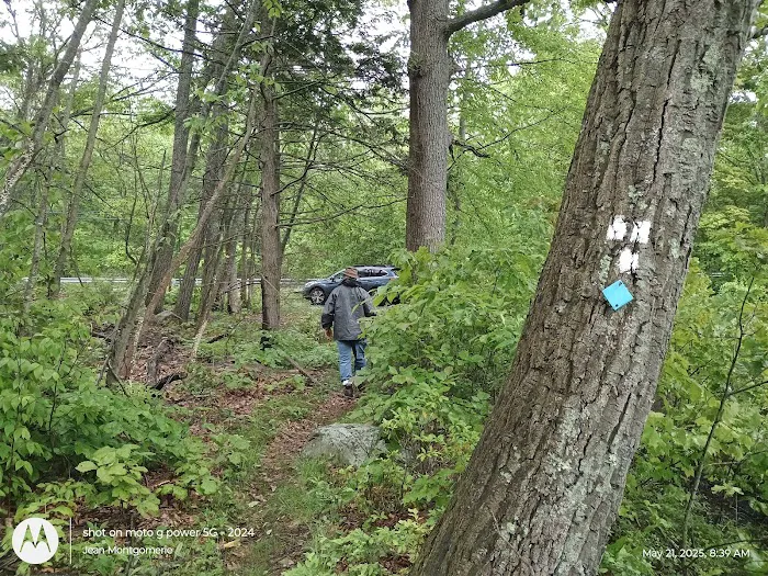 The City of Newark Watershed Recreation & Camp Watershed Picture 2