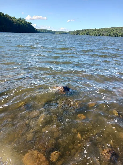 The City of Newark Watershed Recreation & Camp Watershed Picture 8