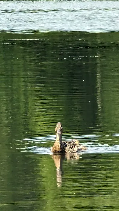 Lake Ames Park Picture 1