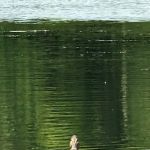 Lake Ames Park