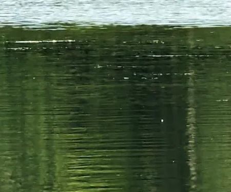 Lake Ames Park