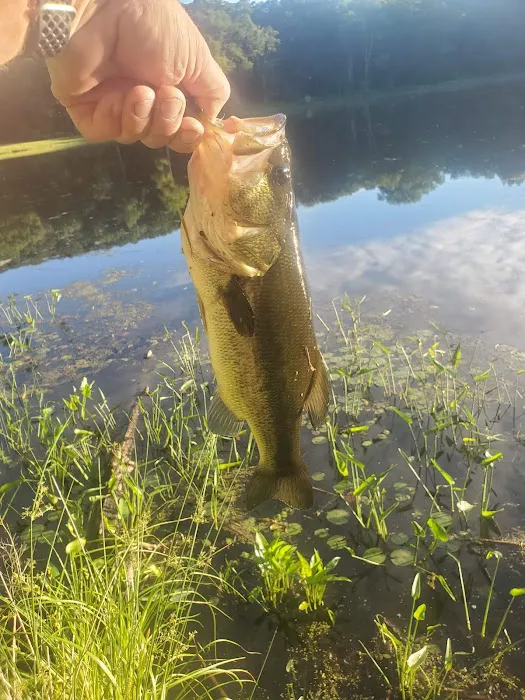 Lake Ames Park Picture 4