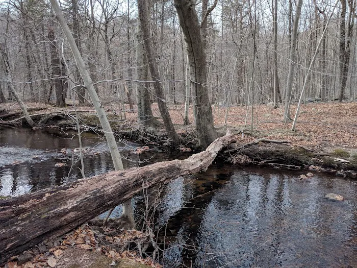 Lake Ames Park Picture 6